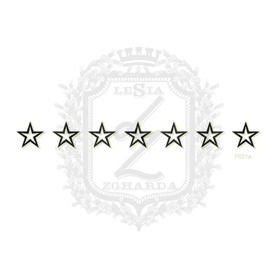 Акриловый штамп Lesia Zgharda F021a Звездочки в ряд