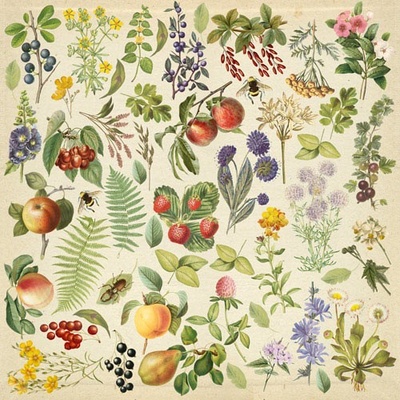 Аркуш з картинками для вирізання Summer botanical diary 30,5x30,5см, ТМ Фабрика Декору
