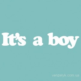 Чіпборд від Вензелик - It's a boy, розмір: 18*88 мм