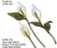Фігурний дірокол McGill - Star Lily
