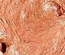 Текстурна акрилова паста Shimmerz - Texturez Sandy Stone, груба, з мікрочастинами, 59 мл