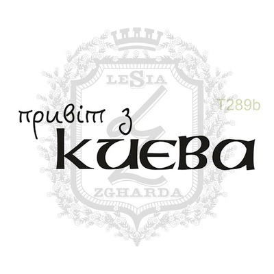 Акриловый штамп Lesia Zgharda T289b Привiт з КИЄВА