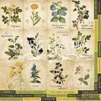 Карточки Botany summer (eng.), ТМ Фабрика Декору