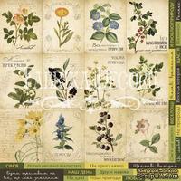 Карточки Botany summer (укр.), ТМ Фабрика Декору - ScrapUA.com