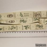 Лента от Thailand - Lovely Bear Print Cotton Ribbon Label String, 1 метр