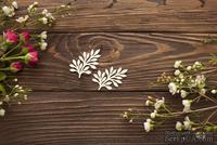Чипборд от WOODchic - &quot;Набор веточки 8&quot;, 5х3,3 см - ScrapUA.com