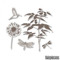 Лезвия и штампы - Sizzix - Framelits Die Set 5PK w/Stamp - Fern, 5 шт. - ScrapUA.com
