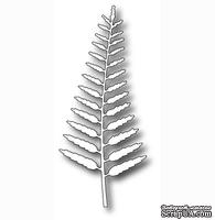 Лезвие - DIES - Delicate Fern от Memory Box, 1 шт