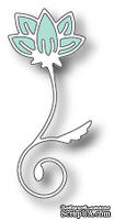 Лезвие от Memory Box - Arianna Sprig
