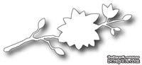 Лезвие от Memory Box - Cheshire Branch Background