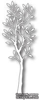 Лезвие от Memory Box -  DIES- Small Alder Tree