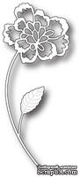 Лезвие от Memory Box -  DIES- Pixie Flower