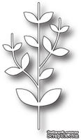 Лезвие от Memory Box -  DIES- Twisty Stalk - ScrapUA.com