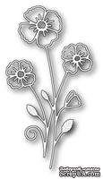 Ножи  от  Memory  Box  -  DIES  - Splendid  Clarkia