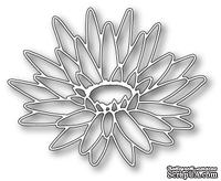 Ножи  от  Memory  Box  -  DIES  -   Blooming  Lotus  Outline