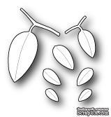 Нож для вырубки от Memory Box -  DIES - Citrus Leaves