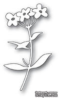 Лезвие от Memory Box - Forget Me Not Blooms