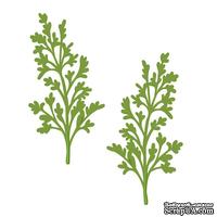 Лезвие Sue Wilson - Finishing Touches Collection Maidenhair Fern Die