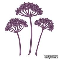 Лезвие Sue Wilson - Finishing Touches Collection - Queen Annes Lace Die    
