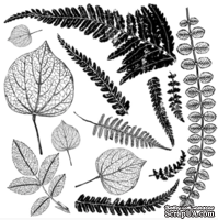 Штампы от IOD - Fronds 12x12 Decor Stamp™, 30x30 см