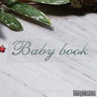 Термонадпись "Baby Book" №1, серебро