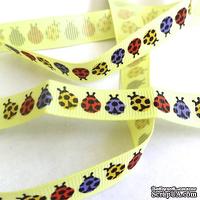 Лента Eyelet Outlet - LadyBug Ribbon, ширина 15 мм, длина 90 см - ScrapUA.com