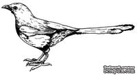 Акриловый штамп Magpie Bird Сорока, размер 5,2 * 2,8 см