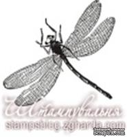 Акриловый штамп FA037 Стрекоза, размер 3,3 * 2,7 см - ScrapUA.com