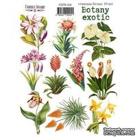 Набор наклеек (стикеров) 10 шт Botany exotic 204, ТМ Фабрика Декора - ScrapUA.com
