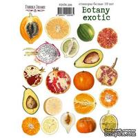 Набор наклеек (стикеров) 19 шт Botany exotic 206, ТМ Фабрика Декора - ScrapUA.com