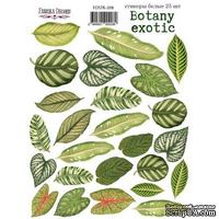Набор наклеек (стикеров) 25 шт Botany exotic 208, ТМ Фабрика Декора - ScrapUA.com