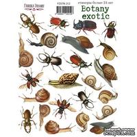 Набор наклеек (стикеров) 24 шт Botany exotic 212, ТМ Фабрика Декора - ScrapUA.com