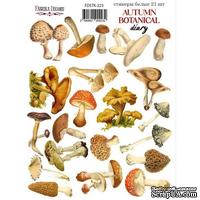 Набор наклеек (стикеров) 21 шт Autumn botanical diary 223, ТМ Фабрика Декора. - ScrapUA.com