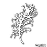 Лезвие Frantic Stamper - Cutting Die - Peacock Feather - Перо павлина  - ScrapUA.com