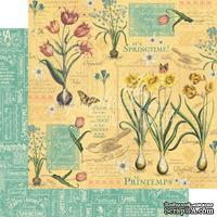 ЦЕНА СНИЖЕНА! Лист бумаги Graphic 45 - Time to Flourish - April Flourish, размер 30х30 см, двусторонняя