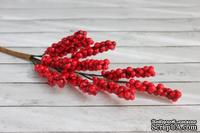 Веточка бузины от Scrapberry's, с красными ягодками