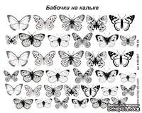 Картинки на кальке от Евгения Курдибановская ТМ - Бабочки, А5