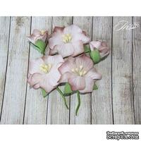 Набор цветов TM Iris - Blossom Бежевые, 5 шт - ScrapUA.com