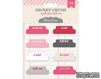 Бумажные украшения Набор декоративных ярлычков от Pink Paislee - Secret Crush Photo Tabs, 24 шт.