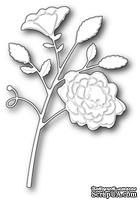 Нож для вырубки от Poppystamps - Bonney Stem
