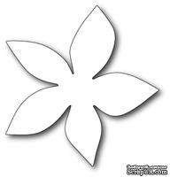 Нож для вырубки от Poppystamps - Grand Luxe Poinsettia Background