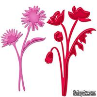Лезвие Spellbinders - Asters and Poppies - Астры и маки