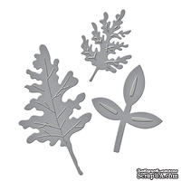Нож для вырубки от Spellbinders - Quite Contrary - Debi Adams - I’ll Never Leaf You