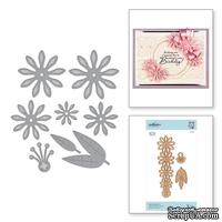 Ножи для вырубки от Spellbinders - Shapeabilities Cinch and Go V Etched Dies Vintage Treasures by Becca Feeken