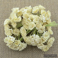 Гипсофила от Thailand - DEEP IVORY, 10 шт