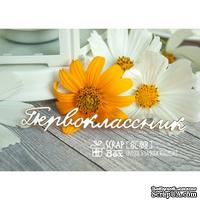 Чипборд ScrapBox - надпись Первоклассник Hi-188