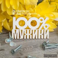 Чипборд ScrapBox - 100% мужики Hi-226