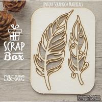 Чипборд ScrapBox - Набор Птичьи перья №2