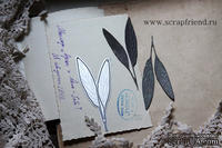 Нож для вырубки от Scrapfriend - Лист шалфея, 3х8см