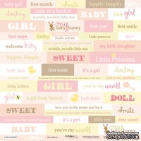Лист односторонней скрапбумаги от Scrapmir - Inscriptions (ENG) из коллекции Doll Baby, 30x30 см - ScrapUA.com